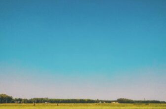 What Makes Open-World Games So Popular?