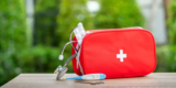 What Are the Best Outdoor Pet First Aid Kits to Have on Hand?